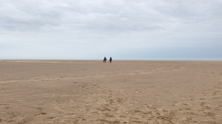 Two horses with riders, standing next to each other in the middle distance on Holkam beach